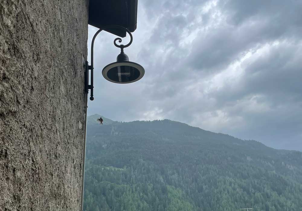 illuminazione pubblica comune di giustino monfredini fausto